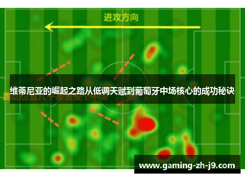 维蒂尼亚的崛起之路从低调天赋到葡萄牙中场核心的成功秘诀
