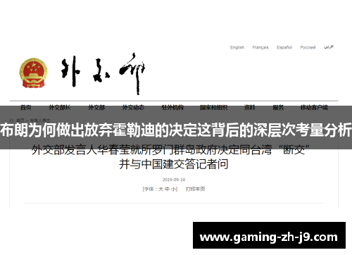 布朗为何做出放弃霍勒迪的决定这背后的深层次考量分析