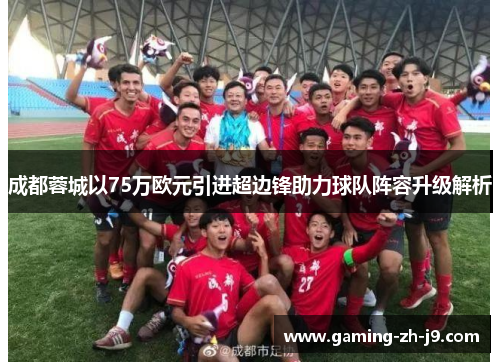 成都蓉城以75万欧元引进超边锋助力球队阵容升级解析
