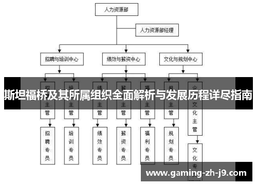 斯坦福桥及其所属组织全面解析与发展历程详尽指南