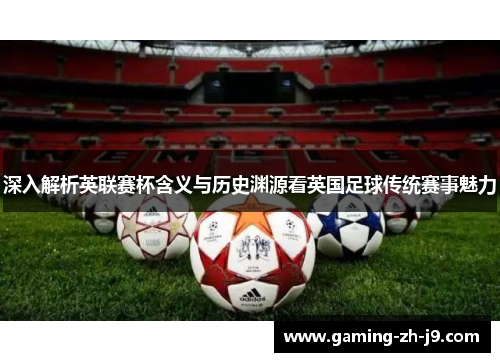 深入解析英联赛杯含义与历史渊源看英国足球传统赛事魅力 深入解析英联赛杯含义与历史渊源看英国足球传统赛事魅力