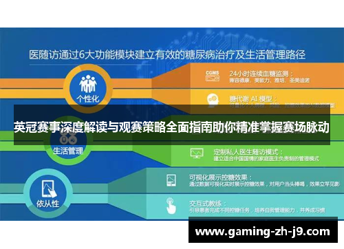 英冠赛事深度解读与观赛策略全面指南助你精准掌握赛场脉动