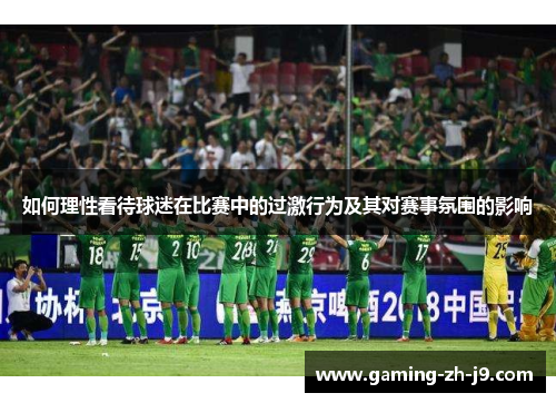 如何理性看待球迷在比赛中的过激行为及其对赛事氛围的影响