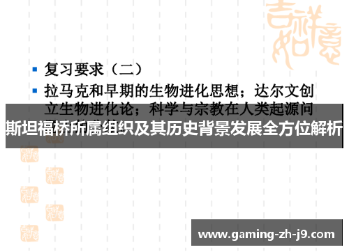 斯坦福桥所属组织及其历史背景发展全方位解析