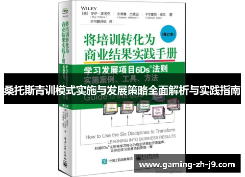 桑托斯青训模式实施与发展策略全面解析与实践指南