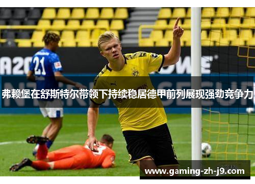 弗赖堡在舒斯特尔带领下持续稳居德甲前列展现强劲竞争力
