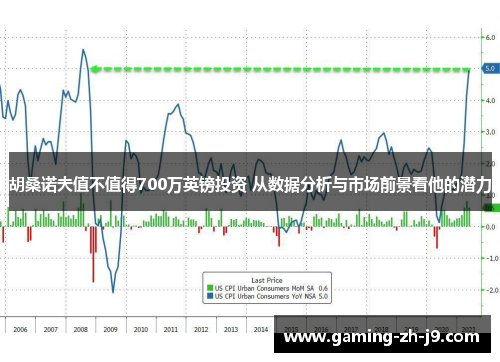 胡桑诺夫值不值得700万英镑投资 从数据分析与市场前景看他的潜力