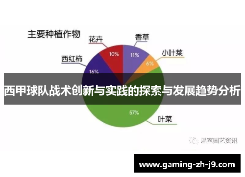 西甲球队战术创新与实践的探索与发展趋势分析