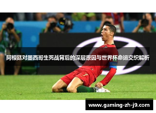 阿根廷对墨西哥生死战背后的深层原因与世界杯命运交织解析