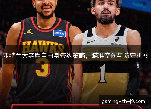 亚特兰大老鹰自由身签约策略，瞄准空间与防守拼图